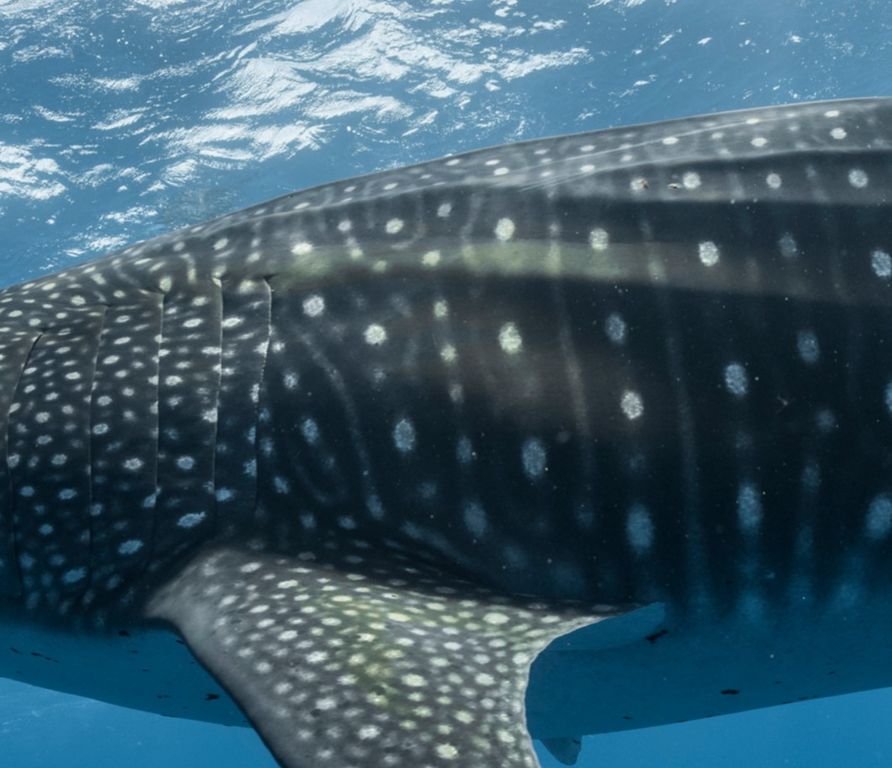 f7f8c593-23a4-41ac-adab-142fb9015e67