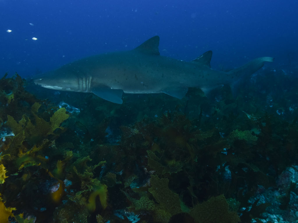 8487c253-15e7-464f-b56a-d666b23550ee