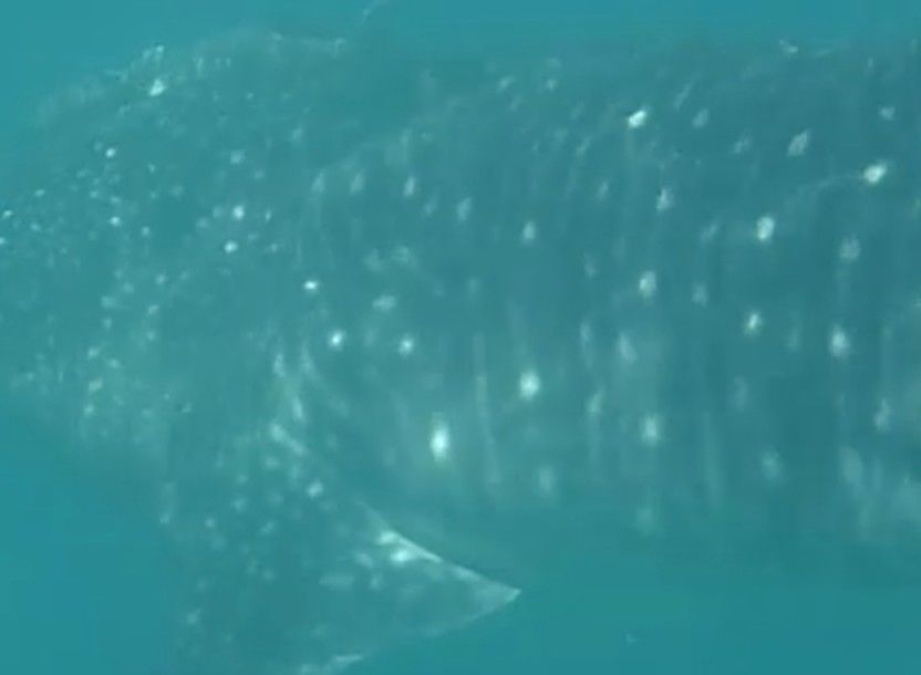 d9e7cbf5-65dc-4be7-8327-492894f310c0