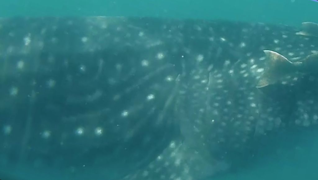 d9e7cbf5-65dc-4be7-8327-492894f310c0