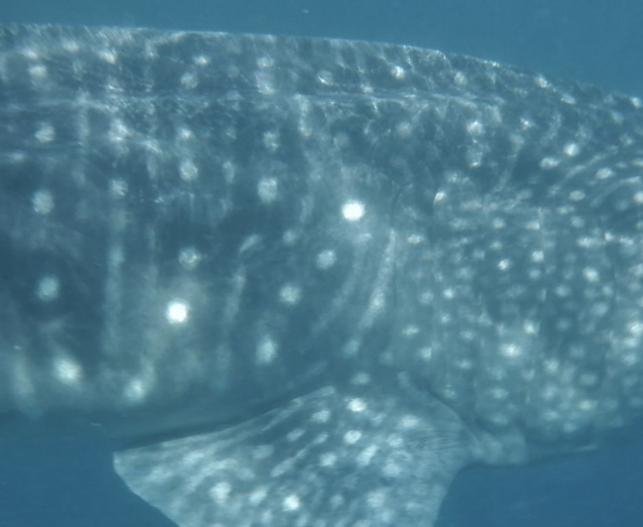 902e4dd1-aad4-48f7-b203-badac14d42d5