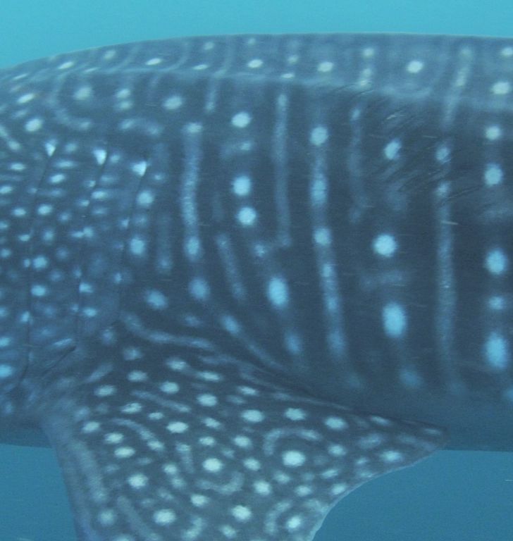 57c9b5a5-c544-42ee-9885-12e149417414