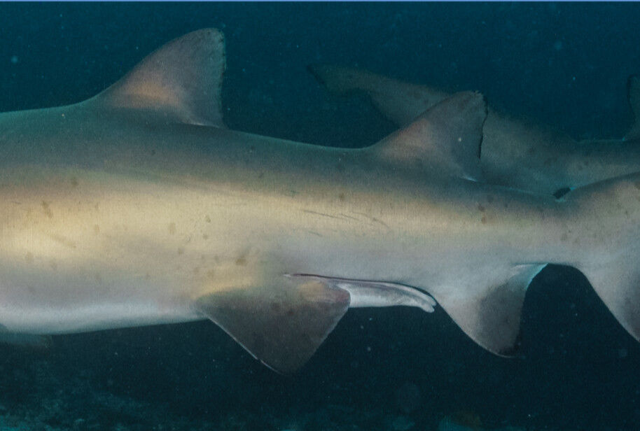 d66c393a-aea8-469b-8bac-8e1931467234