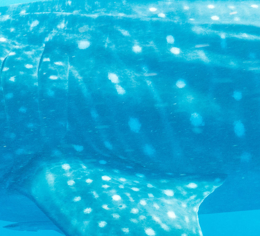 1735642b-1bf0-4ed0-a6fd-5168d83baf54