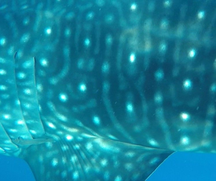 c5761c87-45ef-40fc-b999-bc0e814d69a5