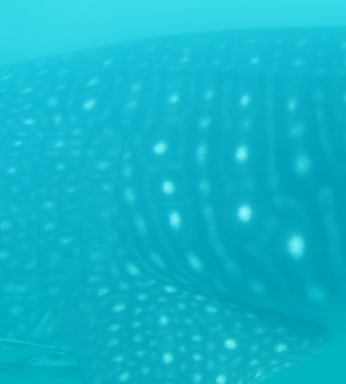 47111f68-a21a-41b5-9f15-be1e54b7d189