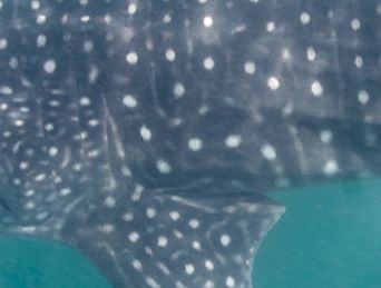 0ebdb878-6c44-4ded-a249-adb5ff998f1f