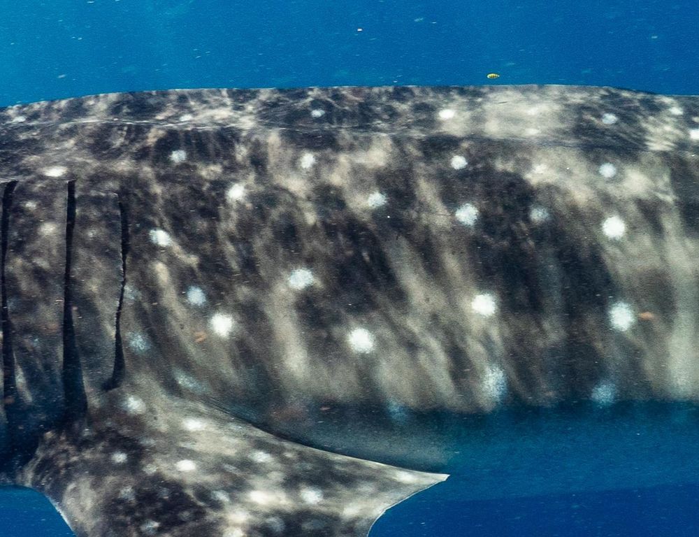 3fa1c1d0-fd54-4226-a5ab-82d60ce54141