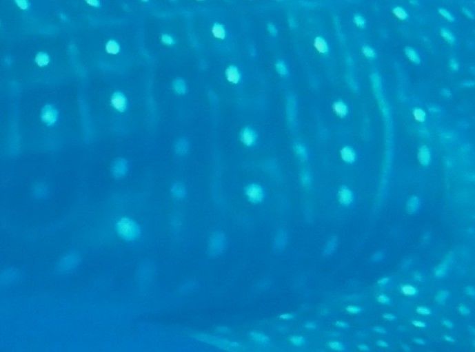 215a07d7-01b9-431d-93cb-ba60f4a7e378