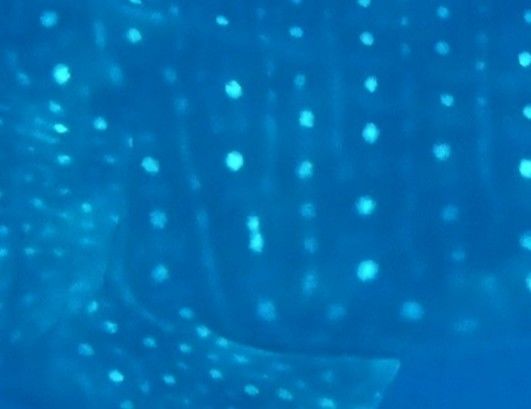 215a07d7-01b9-431d-93cb-ba60f4a7e378