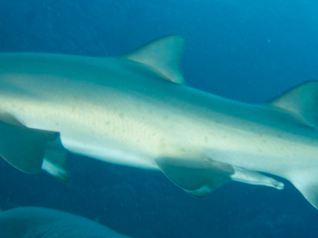 a66c1931-709d-4144-9c53-a0fdb668d283