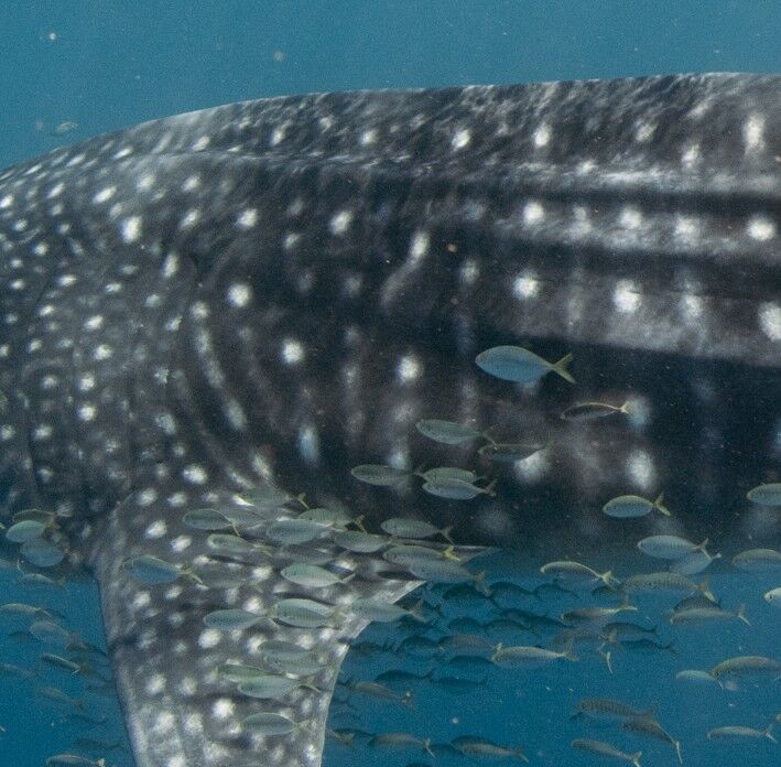 c329f2f5-18e0-404c-9237-aaa7202f8adb