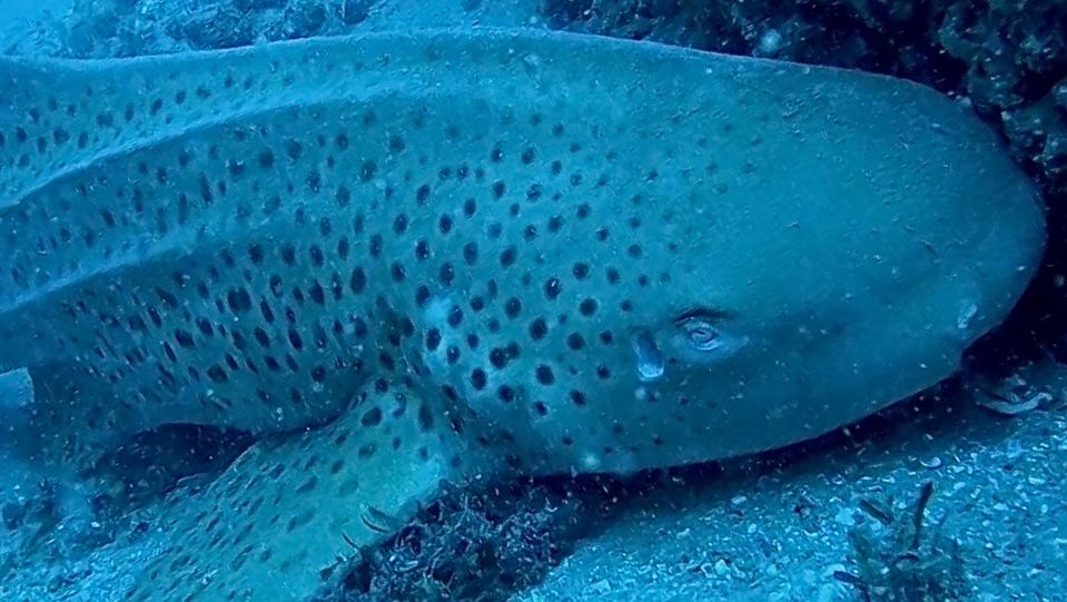 488a54ab-1cbb-4fbb-8de3-e0c58d933f4c