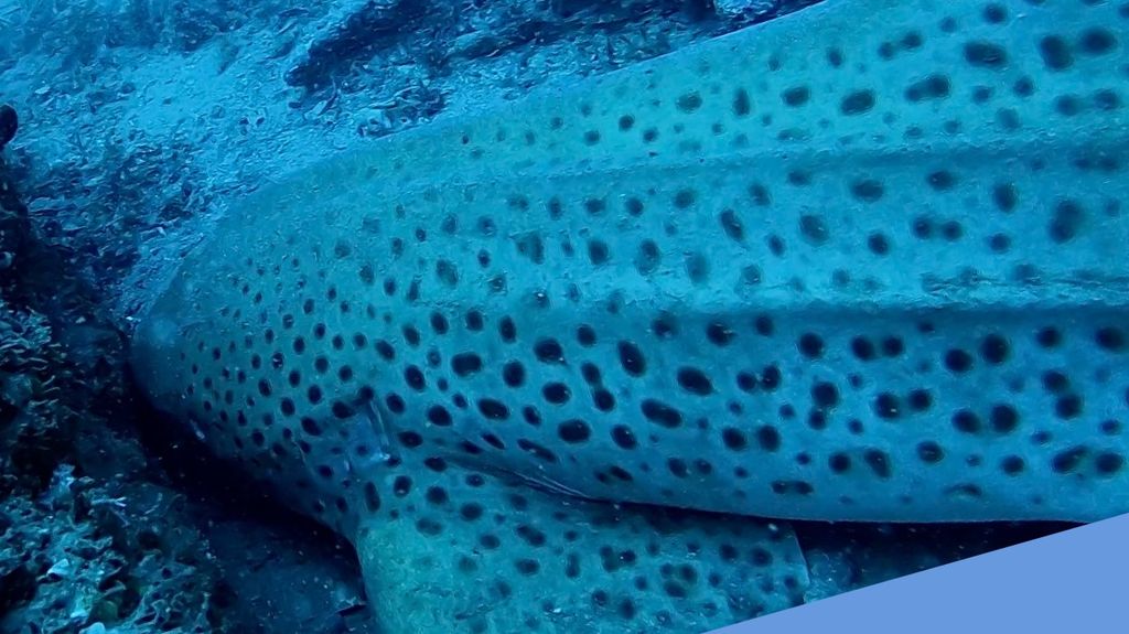 488a54ab-1cbb-4fbb-8de3-e0c58d933f4c