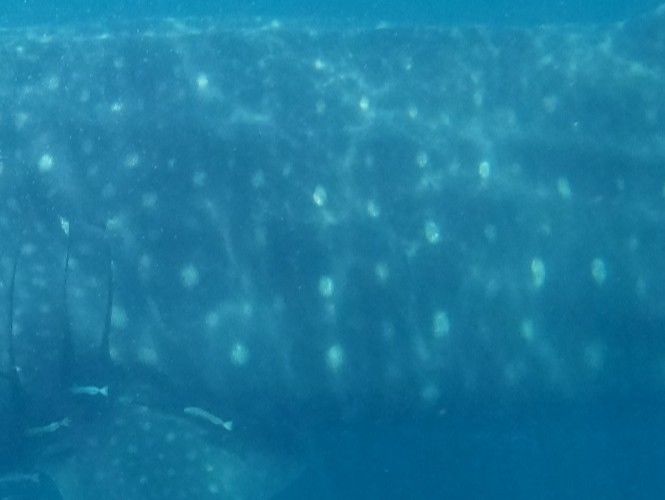 27941bb2-4e9e-45d6-af47-ed0ec6d95526