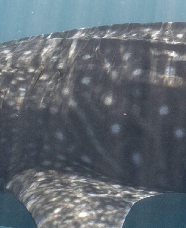 9a423ec4-8096-47d2-aae9-f41d6d9219cd