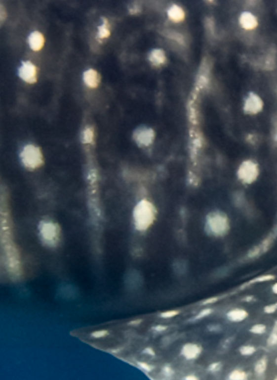 1b53ba66-5957-4b08-bc89-7c8d89948c0e