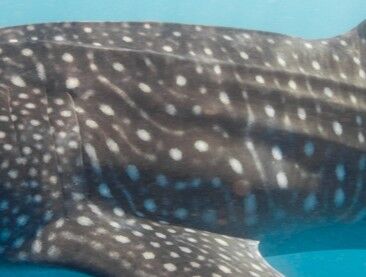 2aa0d8e1-9634-4967-ab7e-8768f46f4f23