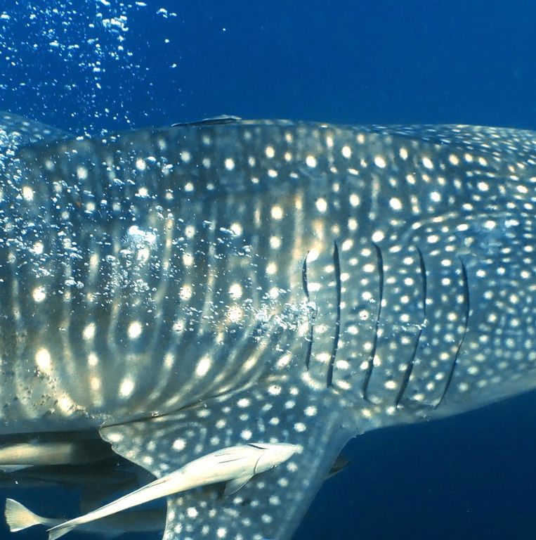 3cadba72-1f62-4ab2-bcf7-f9850053b903