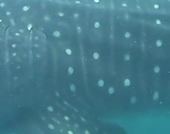 1b3352d5-4777-4cce-9567-e9eec8604c24