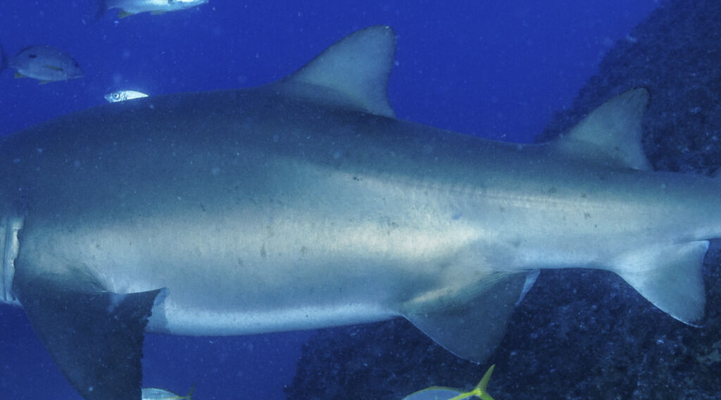 d507e349-738d-4965-8853-6170a59b2a9b