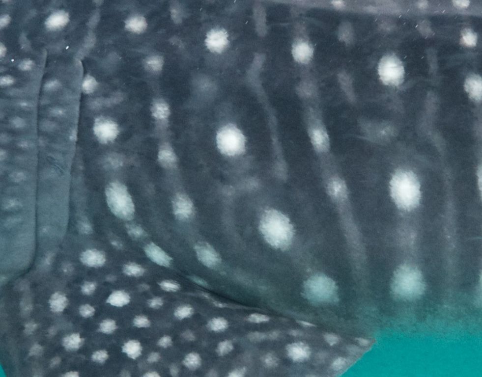 efe83984-3f6d-4c55-b354-2553e35824a4