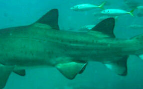 4fca5c20-8534-4001-a0ad-8e6f851b3aa7