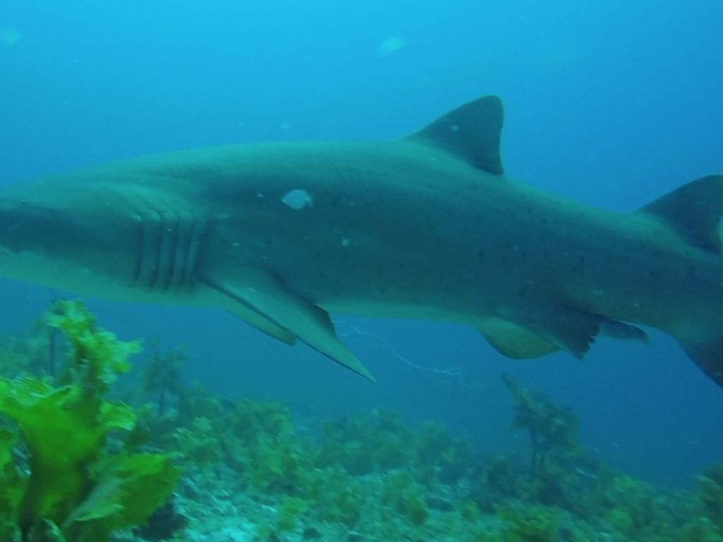 faf6f830-bd3c-46ce-a8ff-61034cdb3436