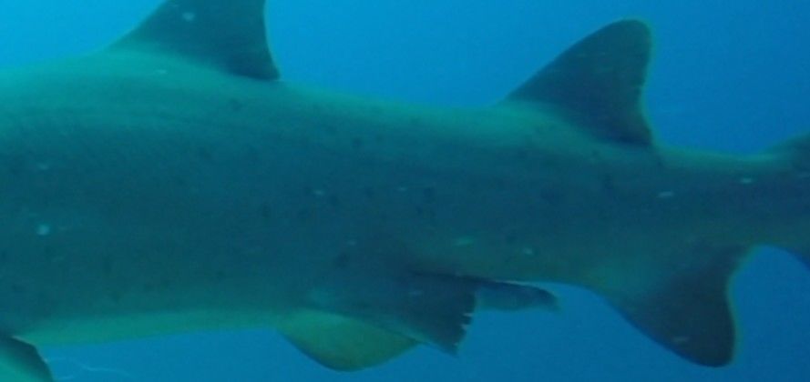 faf6f830-bd3c-46ce-a8ff-61034cdb3436