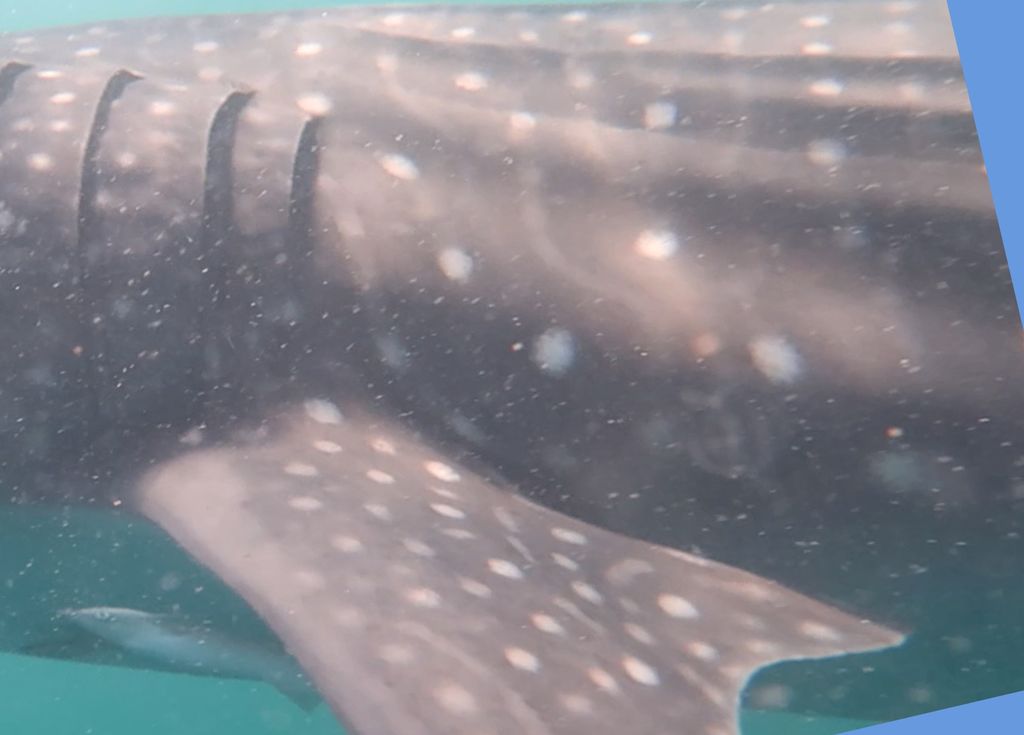 38a925c7-2409-435a-b840-dbf6e020234f