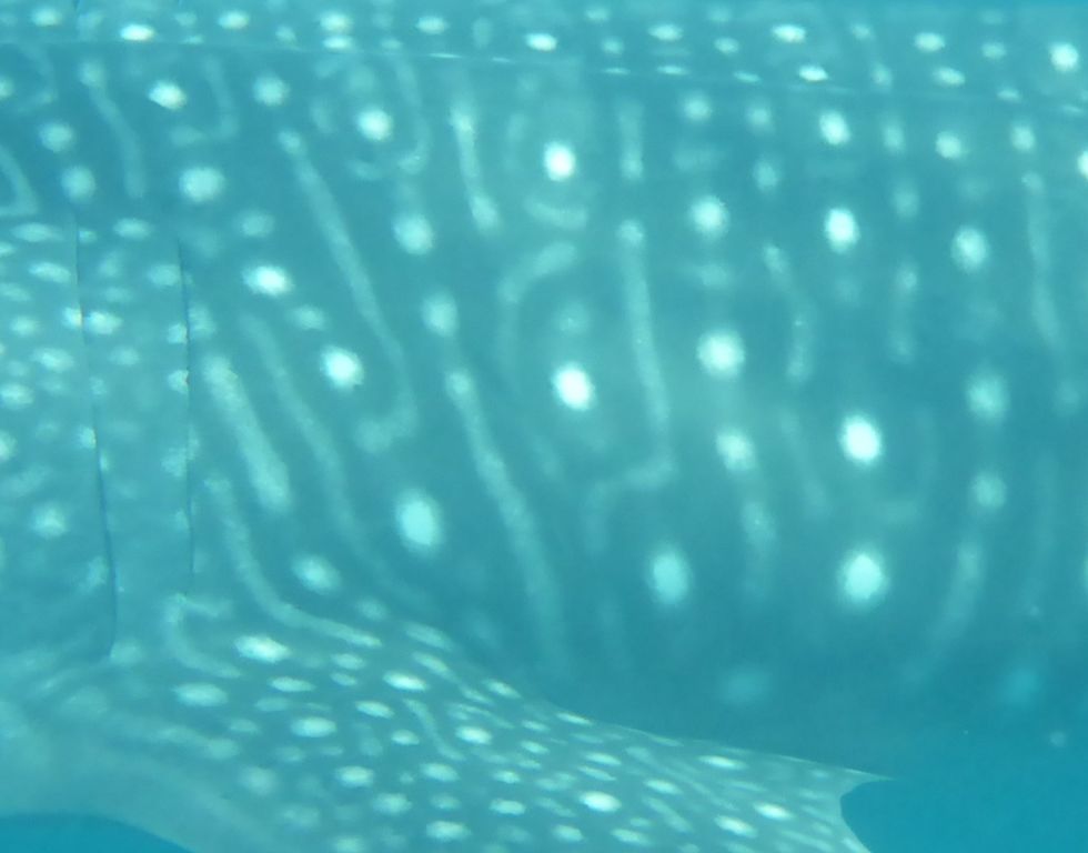 60d881ce-d142-4488-957f-4c7f9a471442