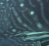 2106d8e4-13d6-4787-8fad-b0a17b9d18e4