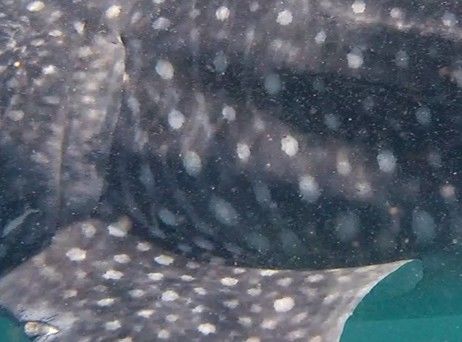 41c5f1d6-026e-45b3-9bd9-d0f8ba6ebbbf