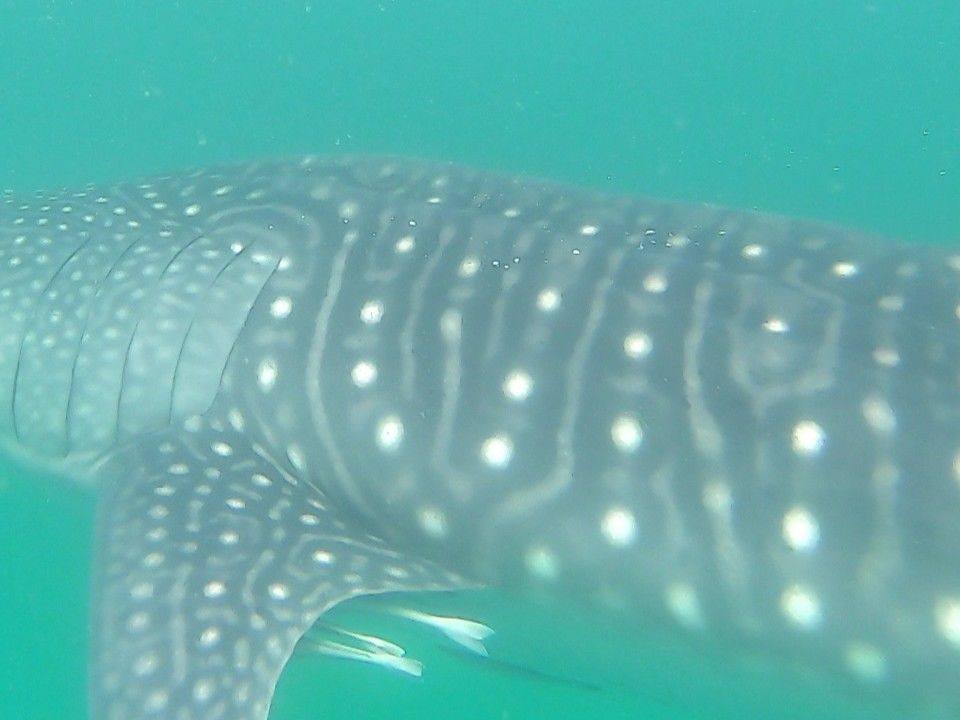 27409874-e2eb-4b5e-ae02-5ba57bddc855