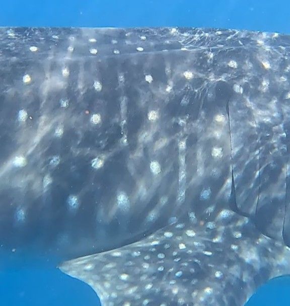 1c712fa3-2b4c-4b32-a024-7336d3ceeba0