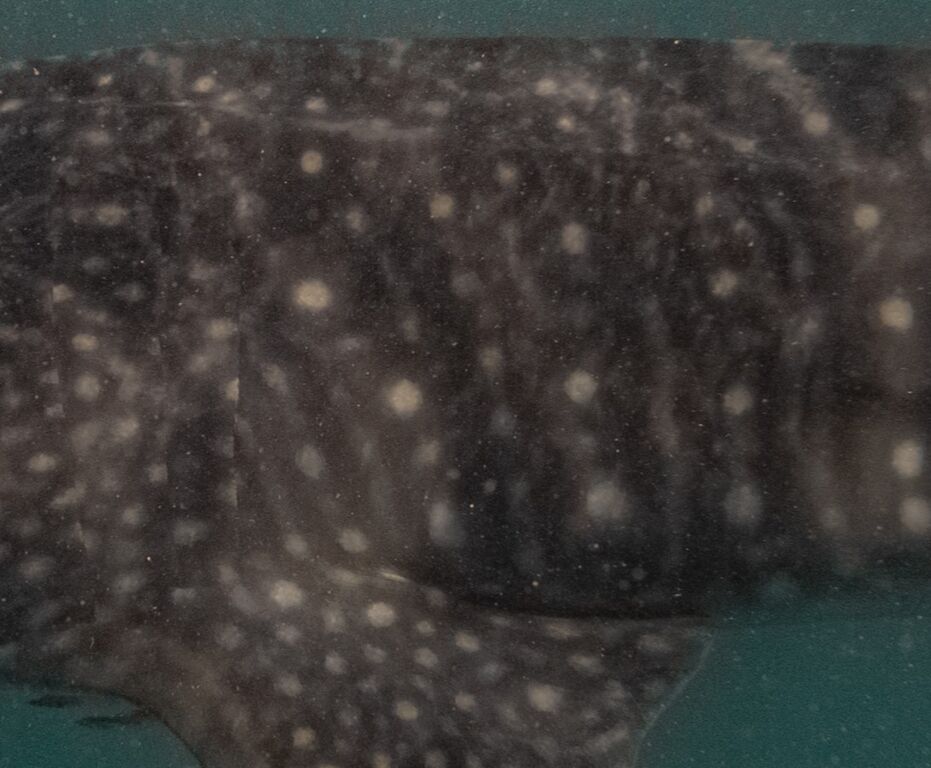 36b124b4-f7b4-48a3-92bf-b75b203ba185