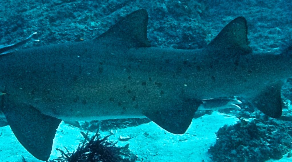 c30cf27d-2321-49ef-9adc-effff7afdc6c