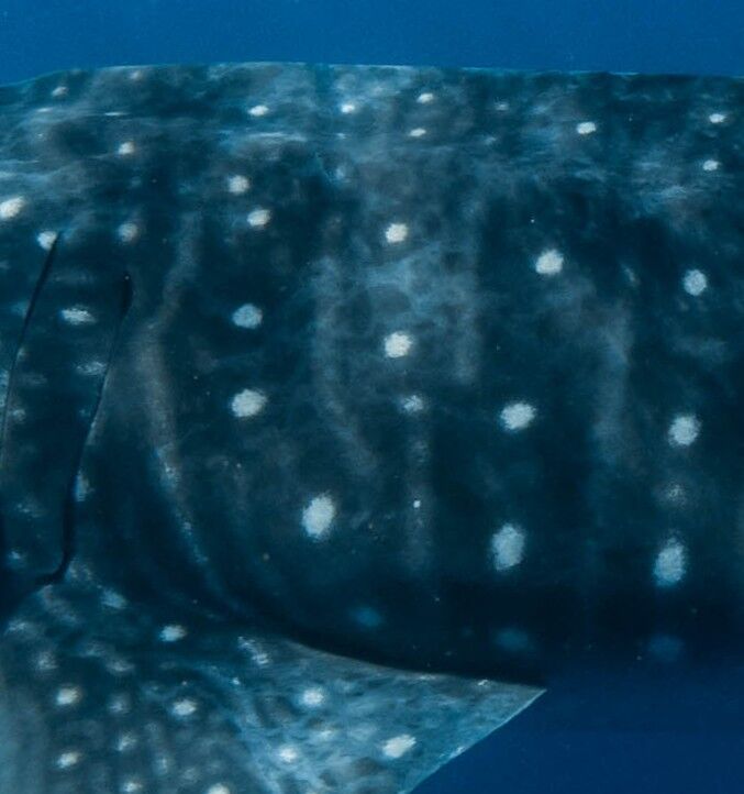 84d5aa59-86d6-4f95-aab4-0b88bcc16855