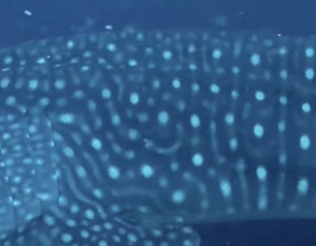 0da6bfe8-2467-469b-ac2d-595c7cb79e26