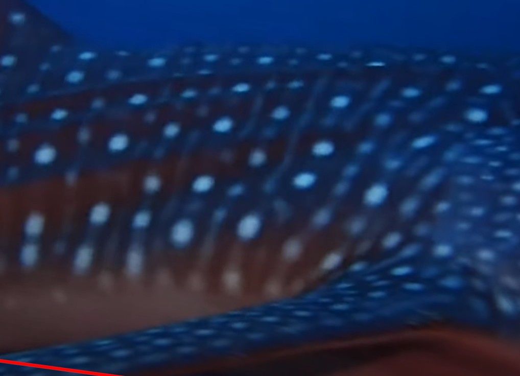 0da6bfe8-2467-469b-ac2d-595c7cb79e26