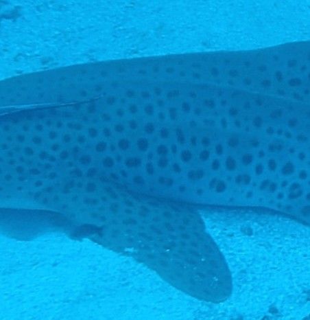 7fb7061e-bf2a-4b22-be13-cc38c0c33712