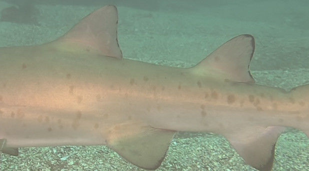 b747b3ea-ee8d-478f-b0d4-effeebab0f85