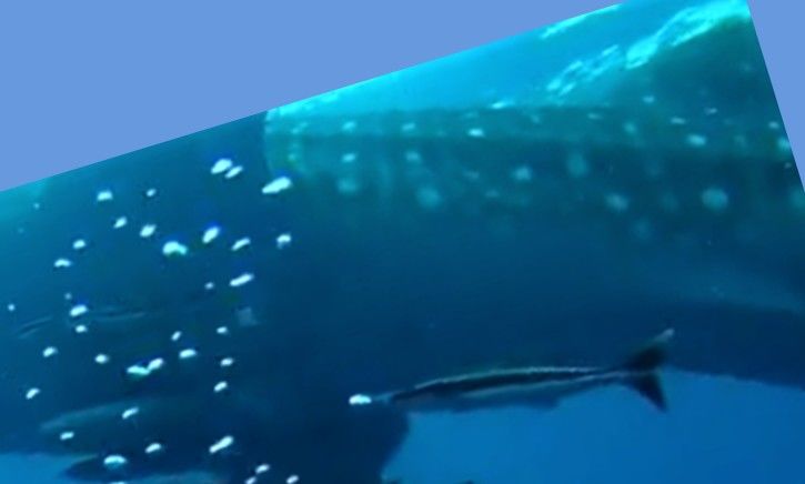 fe9da9df-9341-4121-95e0-7bc6cc4badc5