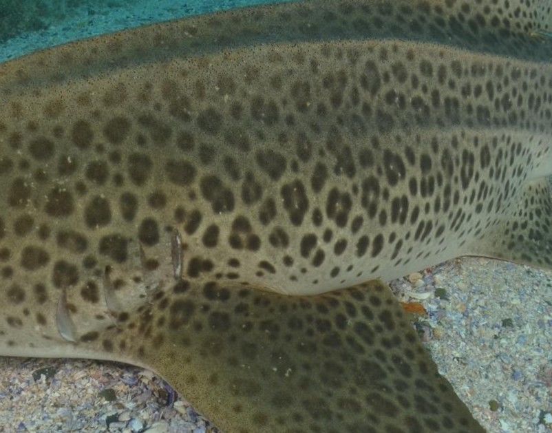 ec19e502-6bcf-479b-9c82-30ee8987fa96