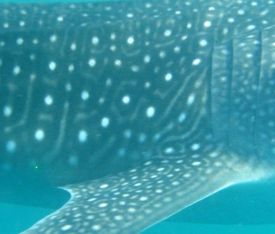 0d9795e0-2cde-43de-80bd-c8db7ebc07fa