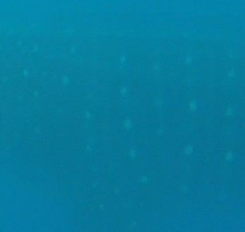 f8a14148-f170-4f2e-b086-d1588527faf2