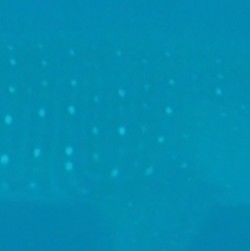 f8a14148-f170-4f2e-b086-d1588527faf2