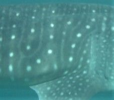 bb62c57c-3709-4236-8a89-4e2da08a8141