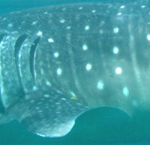 bb62c57c-3709-4236-8a89-4e2da08a8141