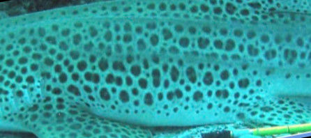 893f341e-ad67-43bc-a749-1788521085b9